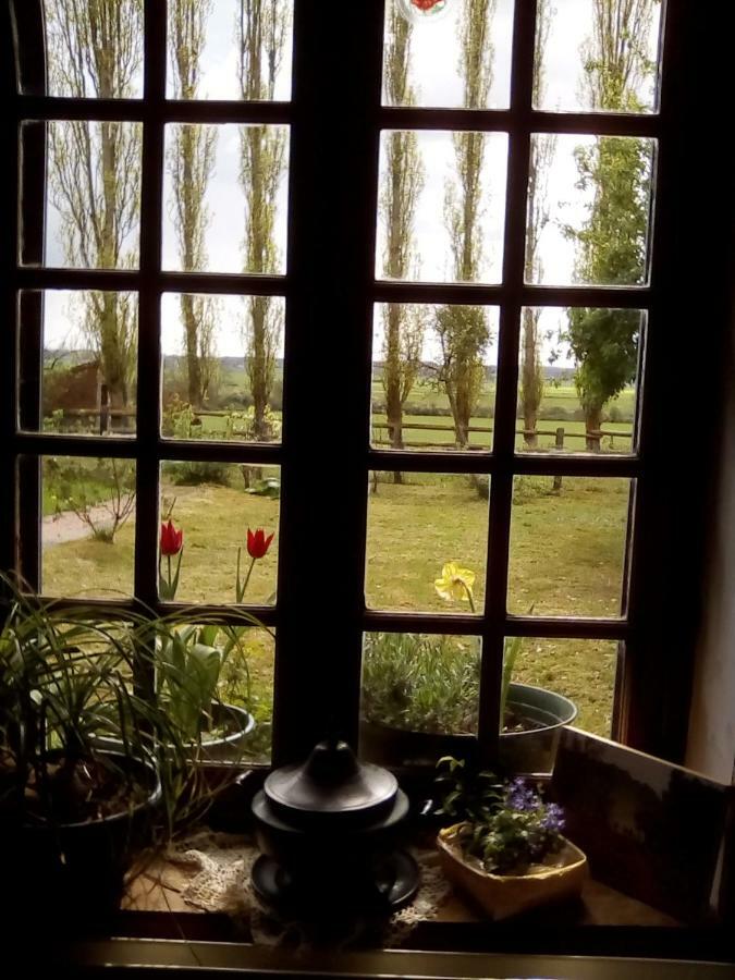 Bed and Breakfast La Ferme Des Vignes Hotot-en-Auge Exteriér fotografie