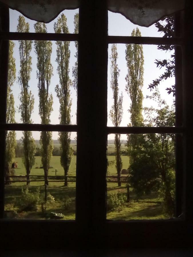 Bed and Breakfast La Ferme Des Vignes Hotot-en-Auge Exteriér fotografie